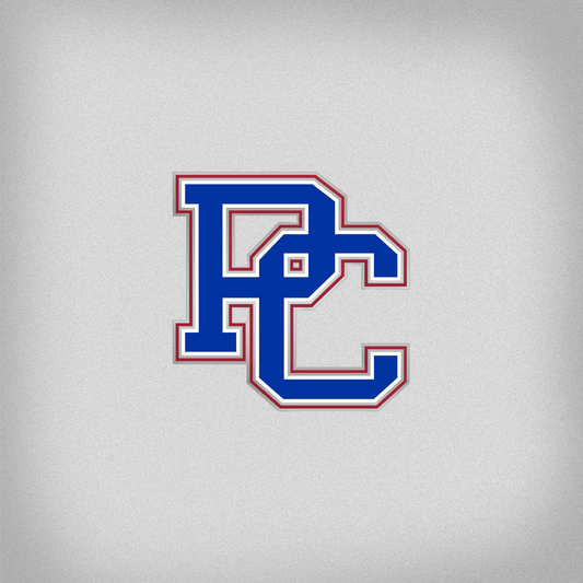 digital mock up of the front of the lapel pin